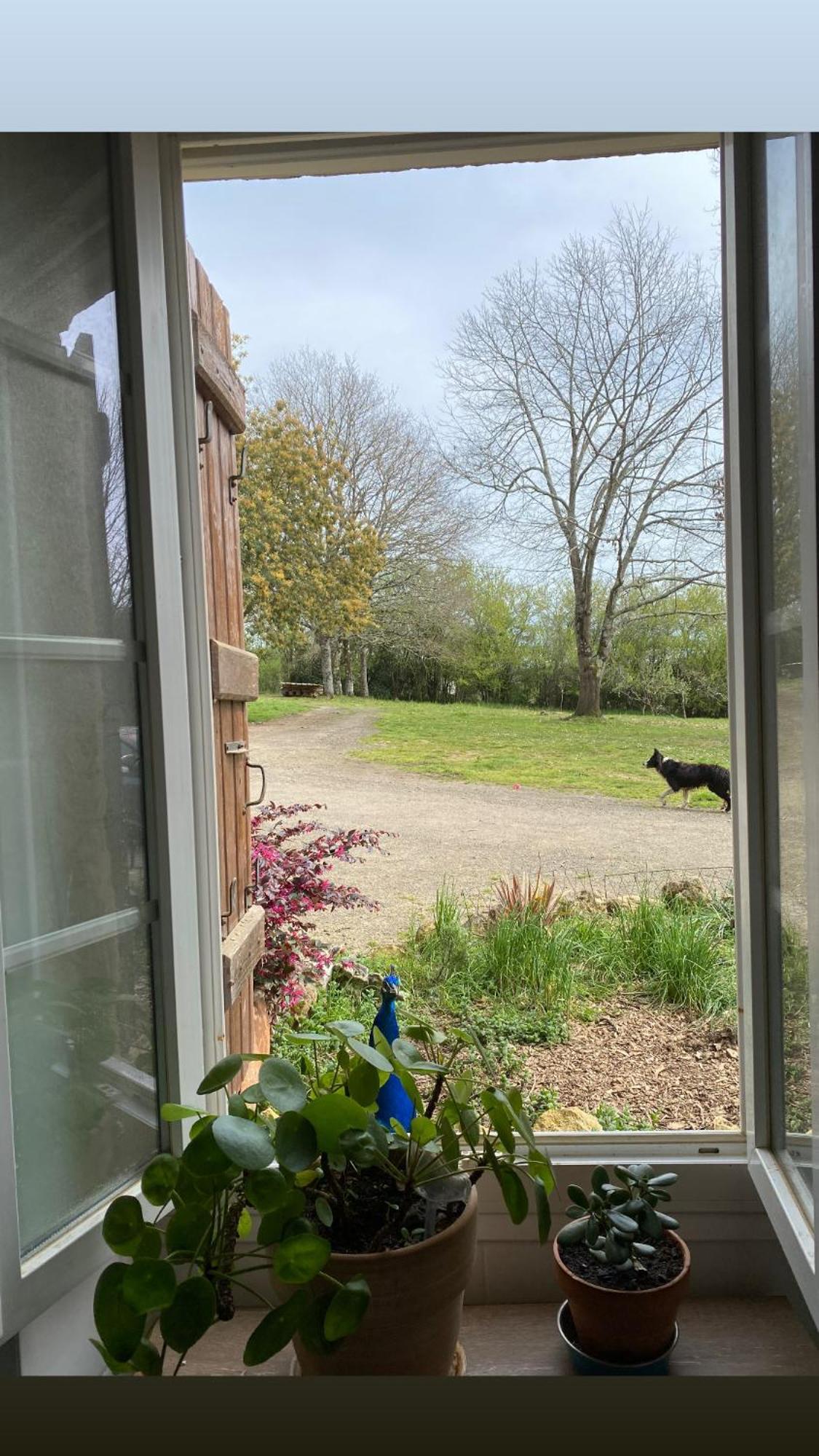 Bed and Breakfast La Bastide Armous-et-Cau Esterno foto